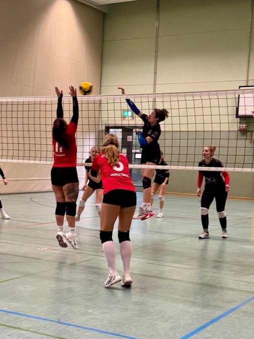 News Bild
